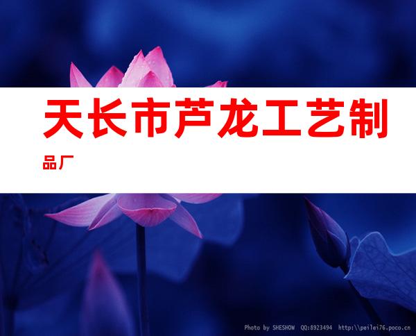 天长市芦龙工艺制品厂